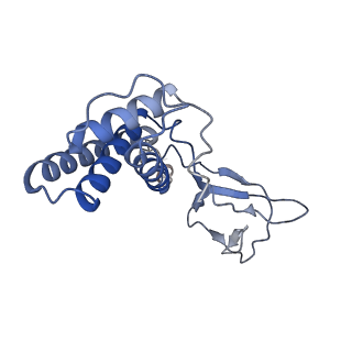 31321_7ey7_M_v1-0
bacteriophage T7 tail complex