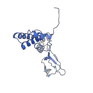 31321_7ey7_N_v1-0
bacteriophage T7 tail complex