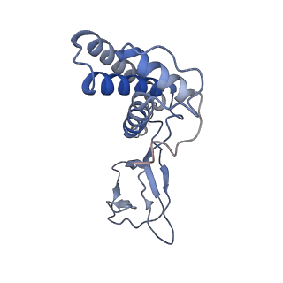 31321_7ey7_O_v1-0
bacteriophage T7 tail complex
