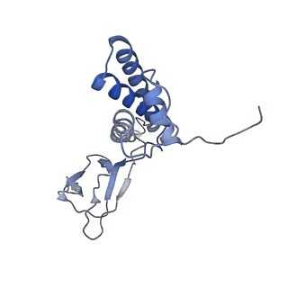 31321_7ey7_P_v1-0
bacteriophage T7 tail complex