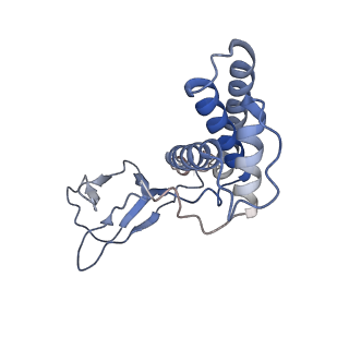 31321_7ey7_Q_v1-0
bacteriophage T7 tail complex