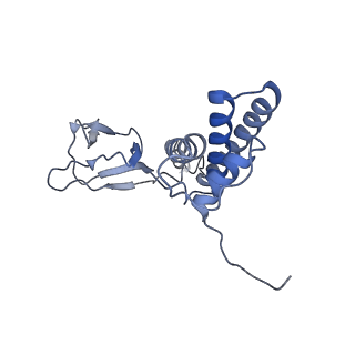 31321_7ey7_R_v1-0
bacteriophage T7 tail complex