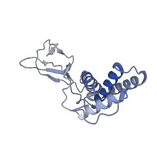 31321_7ey7_S_v1-0
bacteriophage T7 tail complex
