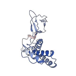 31321_7ey7_U_v1-0
bacteriophage T7 tail complex