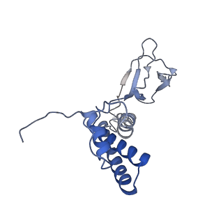 31321_7ey7_V_v1-0
bacteriophage T7 tail complex