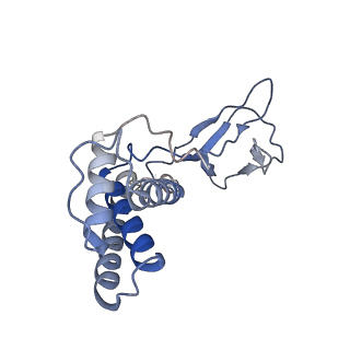 31321_7ey7_W_v1-0
bacteriophage T7 tail complex