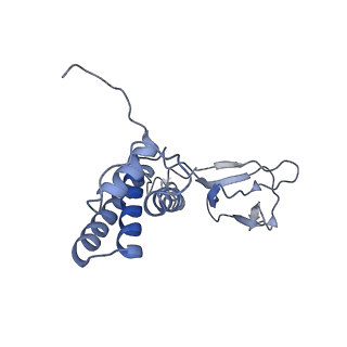 31321_7ey7_X_v1-0
bacteriophage T7 tail complex