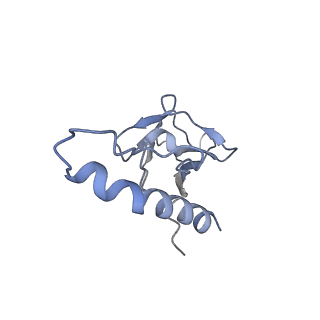 31321_7ey7_a_v1-0
bacteriophage T7 tail complex