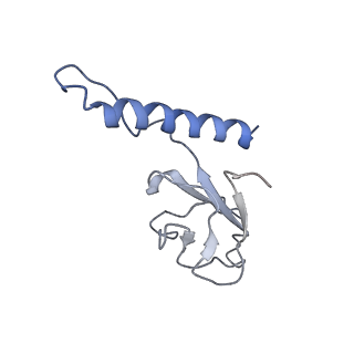 31321_7ey7_b_v1-0
bacteriophage T7 tail complex