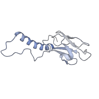 31321_7ey7_c_v1-0
bacteriophage T7 tail complex