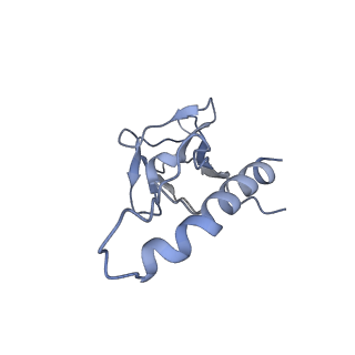 31321_7ey7_d_v1-0
bacteriophage T7 tail complex