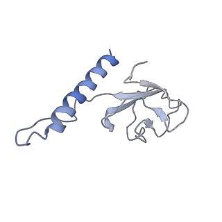 31321_7ey7_e_v1-0
bacteriophage T7 tail complex