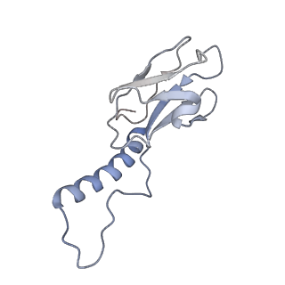 31321_7ey7_f_v1-0
bacteriophage T7 tail complex