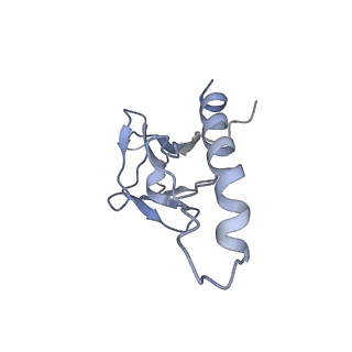 31321_7ey7_g_v1-0
bacteriophage T7 tail complex