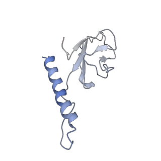 31321_7ey7_h_v1-0
bacteriophage T7 tail complex