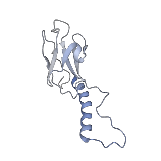 31321_7ey7_i_v1-0
bacteriophage T7 tail complex