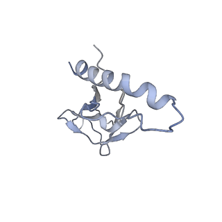 31321_7ey7_j_v1-0
bacteriophage T7 tail complex