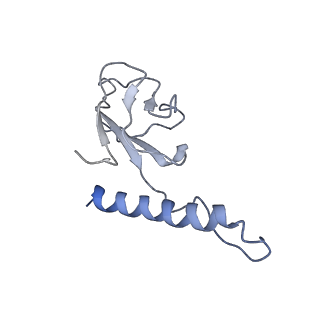 31321_7ey7_k_v1-0
bacteriophage T7 tail complex