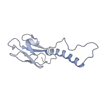 31321_7ey7_l_v1-0
bacteriophage T7 tail complex