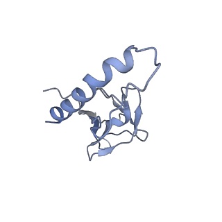 31321_7ey7_m_v1-0
bacteriophage T7 tail complex