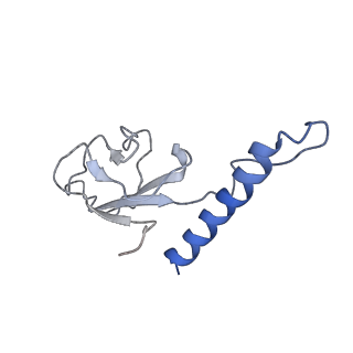 31321_7ey7_n_v1-0
bacteriophage T7 tail complex