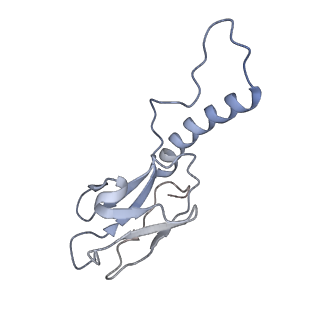 31321_7ey7_o_v1-0
bacteriophage T7 tail complex