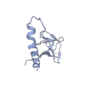 31321_7ey7_p_v1-0
bacteriophage T7 tail complex