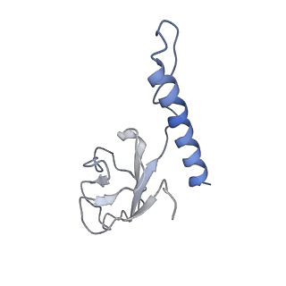 31321_7ey7_q_v1-0
bacteriophage T7 tail complex