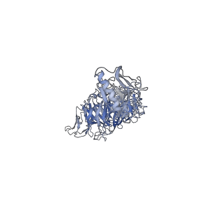 31321_7ey7_t_v1-0
bacteriophage T7 tail complex