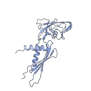 3983_6eyd_A_v1-5
Structure of Mycobacterium smegmatis RNA polymerase Sigma-A holoenzyme