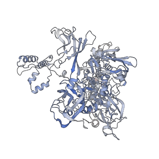 3983_6eyd_C_v1-5
Structure of Mycobacterium smegmatis RNA polymerase Sigma-A holoenzyme