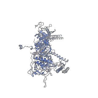 3983_6eyd_D_v1-5
Structure of Mycobacterium smegmatis RNA polymerase Sigma-A holoenzyme
