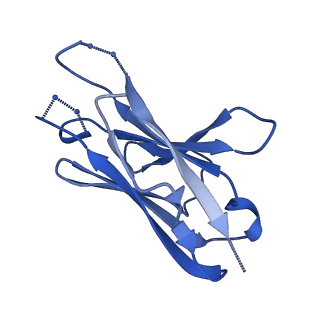 28730_8ez8_L_v1-1
Structure of 3C08 Fab in complex with A/Moscow/10/1999 (H3N2) influenza virus neuraminidase