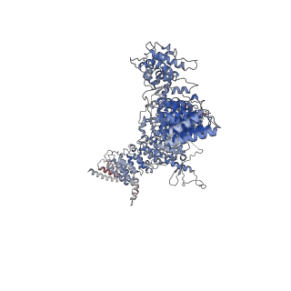28743_8ezj_A_v1-0
Cryo-EM structure of the S. cerevisiae Arf-like protein Arl1 bound to its effector guanine nucleotide exchange factor Gea2