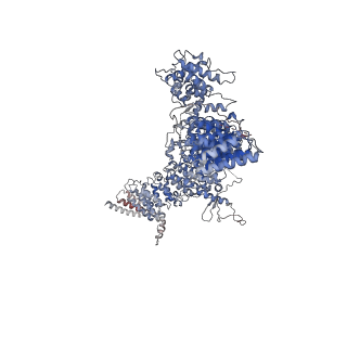 28743_8ezj_A_v1-1
Cryo-EM structure of the S. cerevisiae Arf-like protein Arl1 bound to the Arf guanine nucleotide exchange factor Gea2