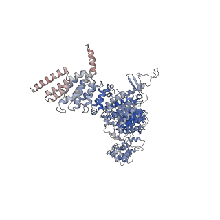 28743_8ezj_B_v1-0
Cryo-EM structure of the S. cerevisiae Arf-like protein Arl1 bound to its effector guanine nucleotide exchange factor Gea2