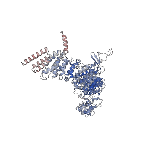 28743_8ezj_B_v1-1
Cryo-EM structure of the S. cerevisiae Arf-like protein Arl1 bound to the Arf guanine nucleotide exchange factor Gea2