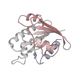 28743_8ezj_C_v1-0
Cryo-EM structure of the S. cerevisiae Arf-like protein Arl1 bound to its effector guanine nucleotide exchange factor Gea2
