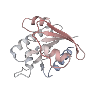 28743_8ezj_C_v1-1
Cryo-EM structure of the S. cerevisiae Arf-like protein Arl1 bound to the Arf guanine nucleotide exchange factor Gea2