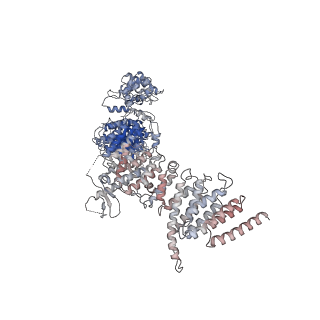 28748_8ezq_A_v1-0
Cryo-EM structure of the S. cerevisiae guanine nucleotide exchange factor Gea2