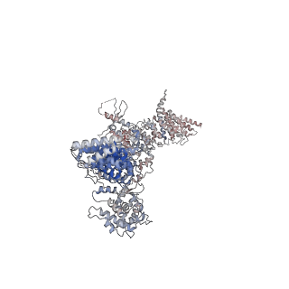 28748_8ezq_B_v1-0
Cryo-EM structure of the S. cerevisiae guanine nucleotide exchange factor Gea2