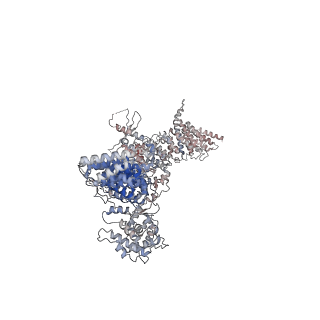 28748_8ezq_B_v1-1
Cryo-EM structure of the S. cerevisiae guanine nucleotide exchange factor Gea2