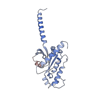 31387_7ezh_A_v1-1
Cryo-EM structure of an activated Cholecystokinin A receptor (CCKAR)-Gi complex