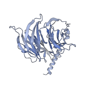 31387_7ezh_B_v1-1
Cryo-EM structure of an activated Cholecystokinin A receptor (CCKAR)-Gi complex
