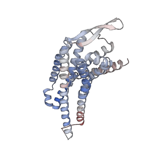 31387_7ezh_D_v1-1
Cryo-EM structure of an activated Cholecystokinin A receptor (CCKAR)-Gi complex