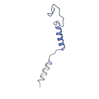 31387_7ezh_G_v1-1
Cryo-EM structure of an activated Cholecystokinin A receptor (CCKAR)-Gi complex