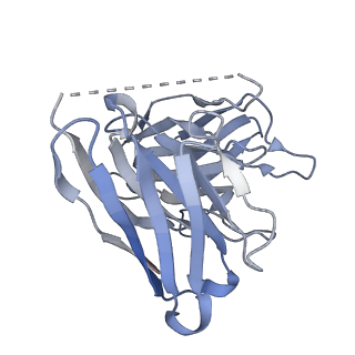 31387_7ezh_H_v1-1
Cryo-EM structure of an activated Cholecystokinin A receptor (CCKAR)-Gi complex
