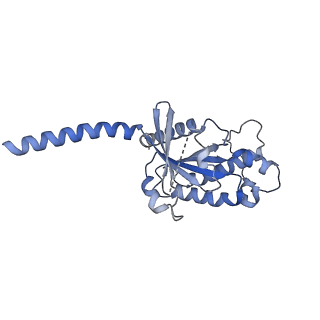 31388_7ezk_A_v1-1
Cryo-EM structure of an activated Cholecystokinin A receptor (CCKAR)-Gs complex