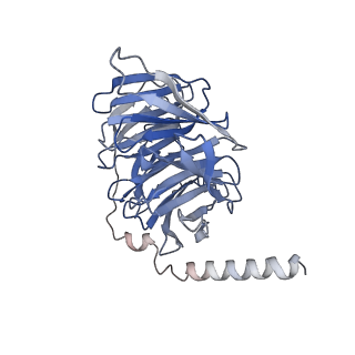 31388_7ezk_B_v1-1
Cryo-EM structure of an activated Cholecystokinin A receptor (CCKAR)-Gs complex