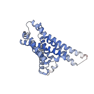 31388_7ezk_D_v1-1
Cryo-EM structure of an activated Cholecystokinin A receptor (CCKAR)-Gs complex